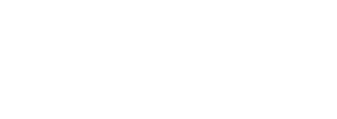 Public Affairs Academie
